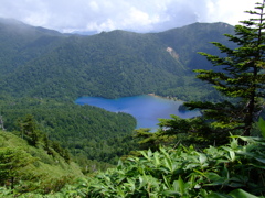 奥志賀山より大沼池