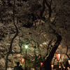 160409高遠城址夜桜_013