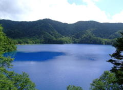 大沼池全景