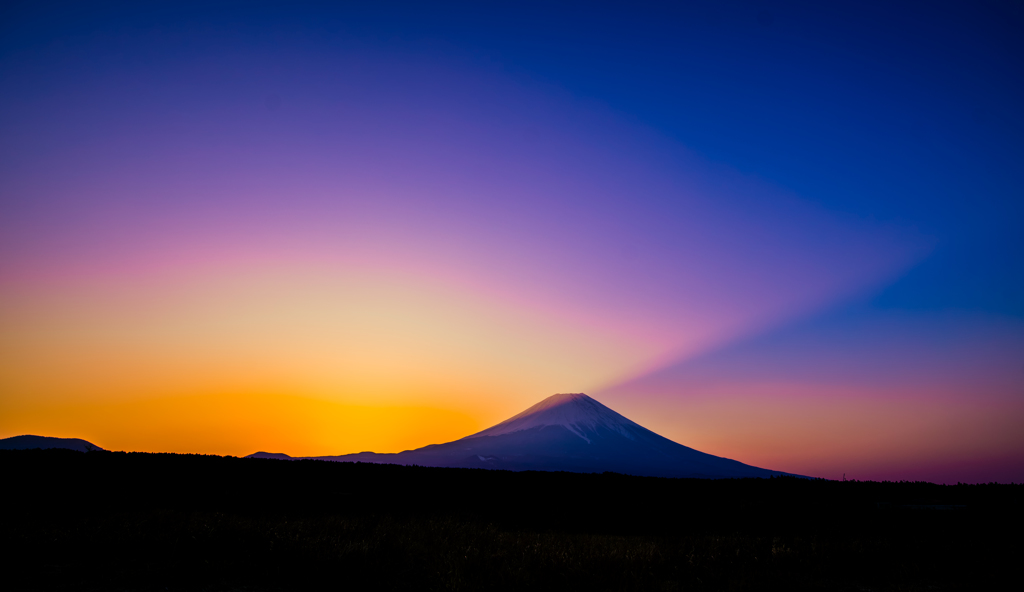 陽を待つ