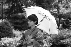 日差しも徐々に強く