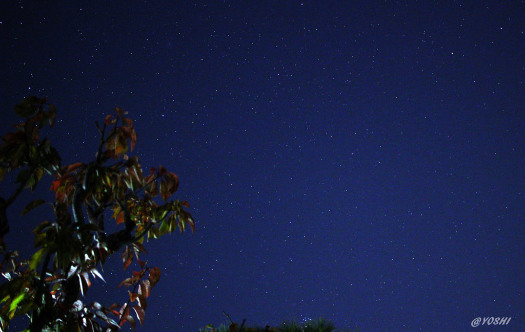 きらきら夜空２