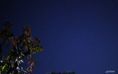 きらきら夜空２