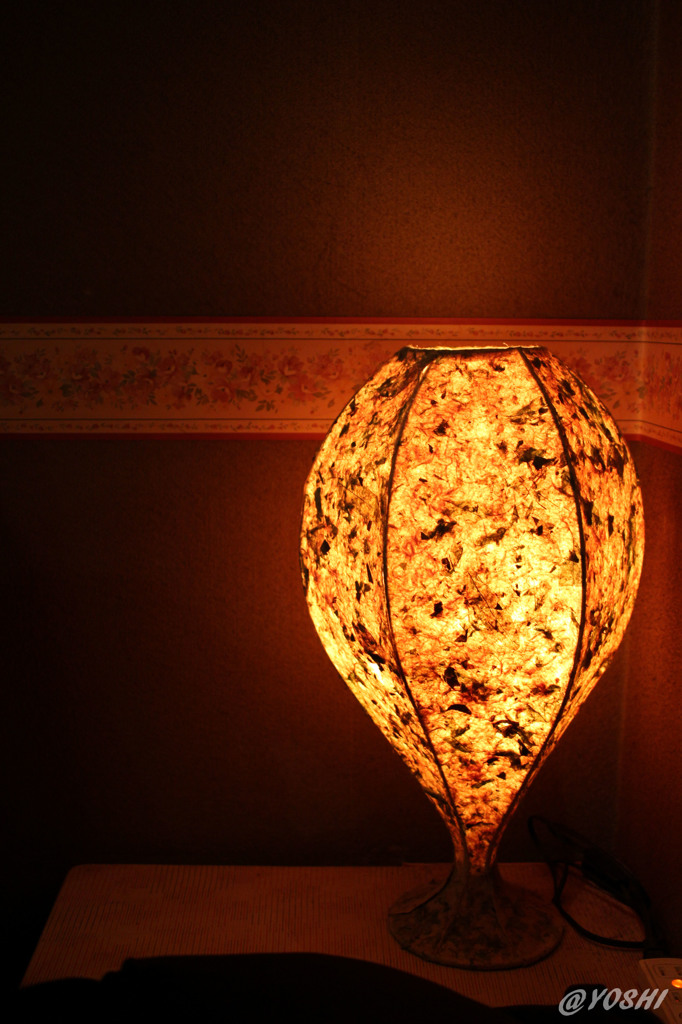 おやすみなさい...