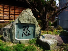 SHINOBI
