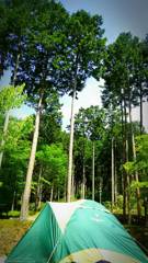 Camp