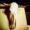 Bone