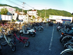 bikes