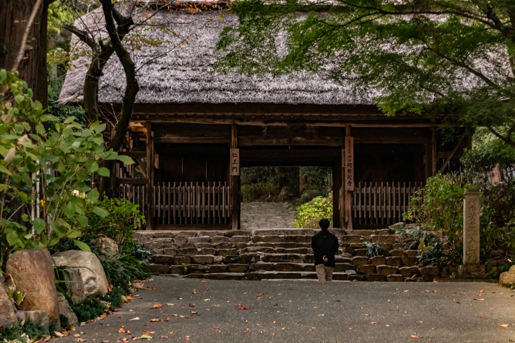 阿弥陀寺