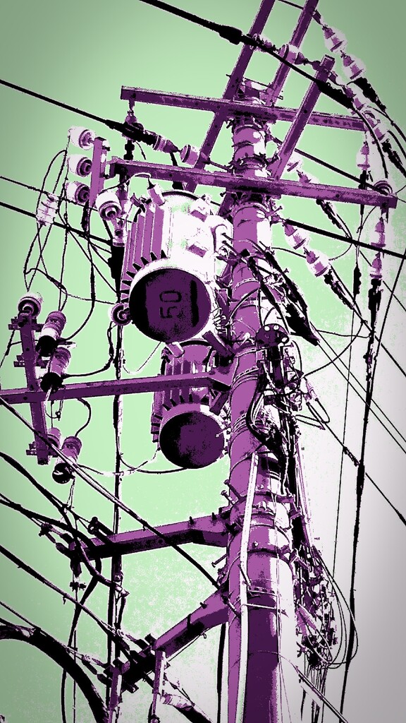 Pole