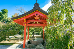 生田神社