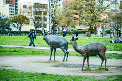 Park