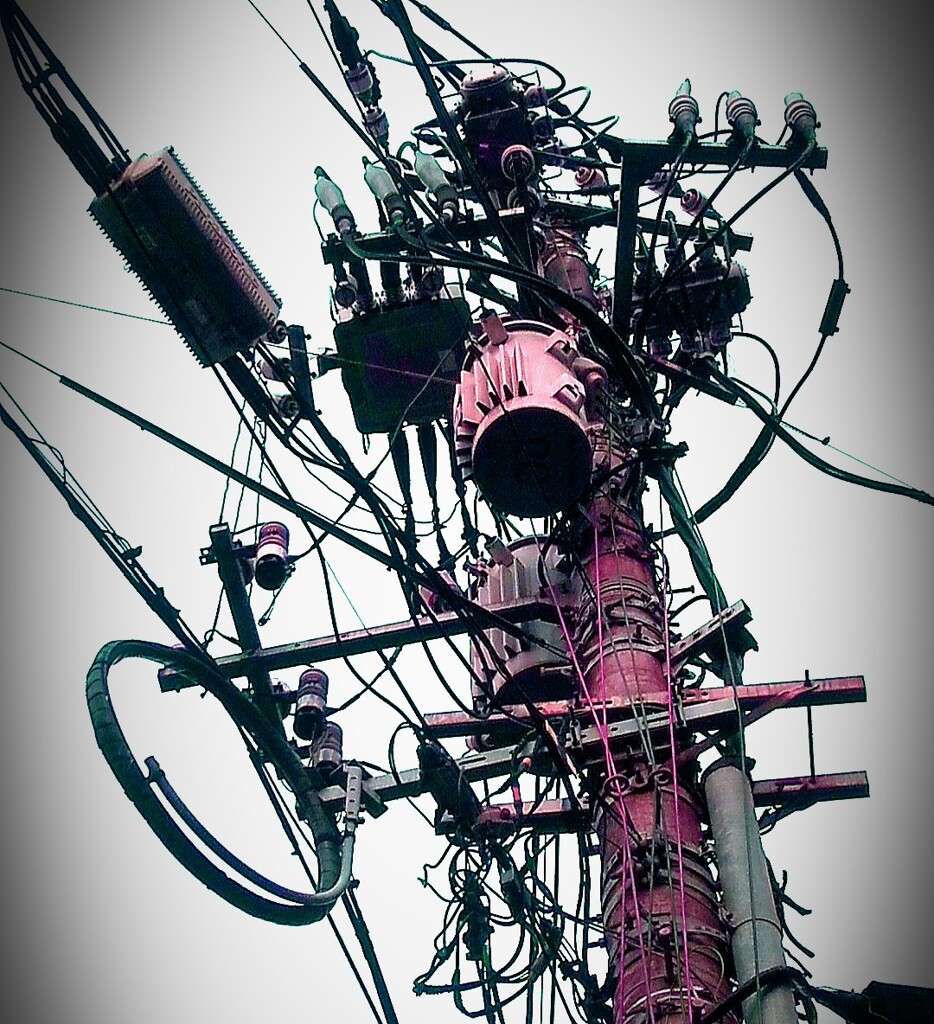 Utility Pole