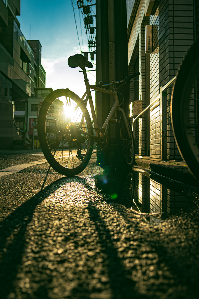 Cycle