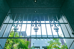 Lattice