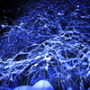 snow