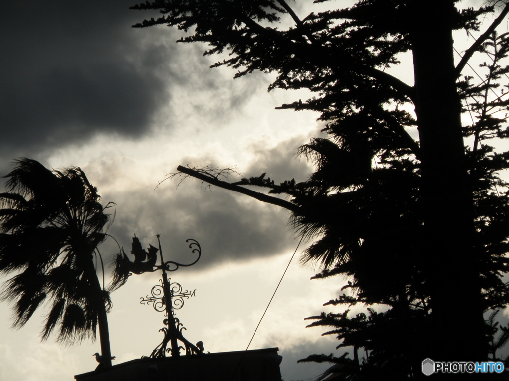 wind