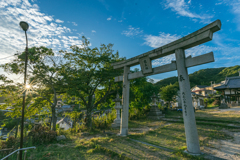 Torii