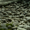 Stone