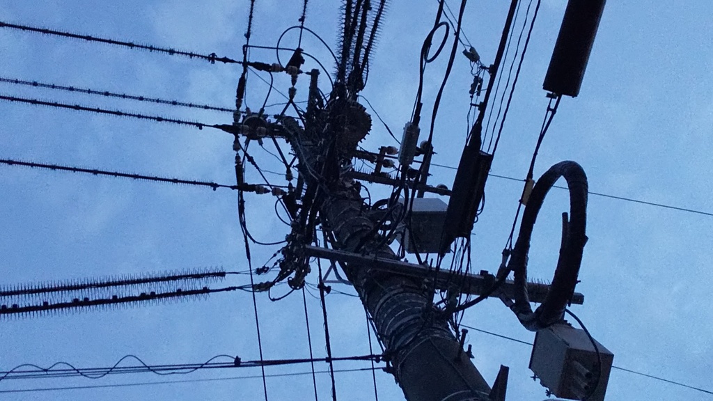 Pole