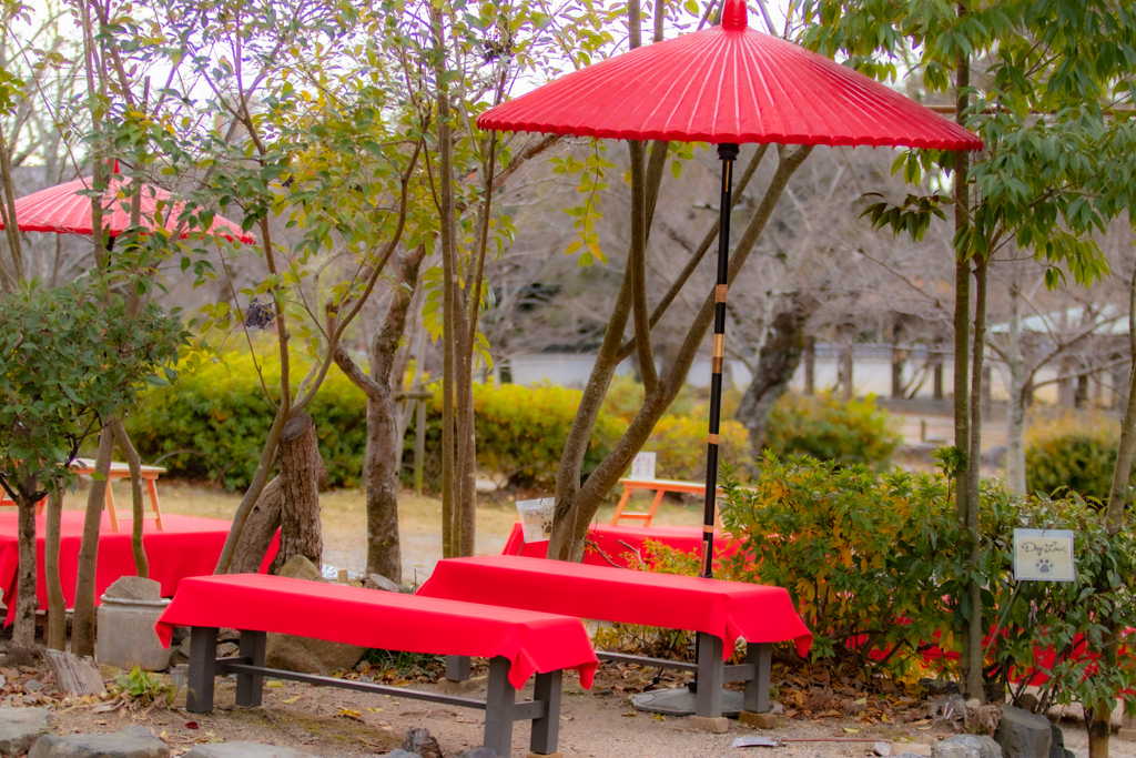 Umbrella