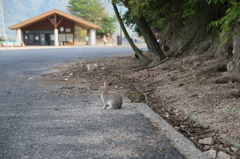 久野島