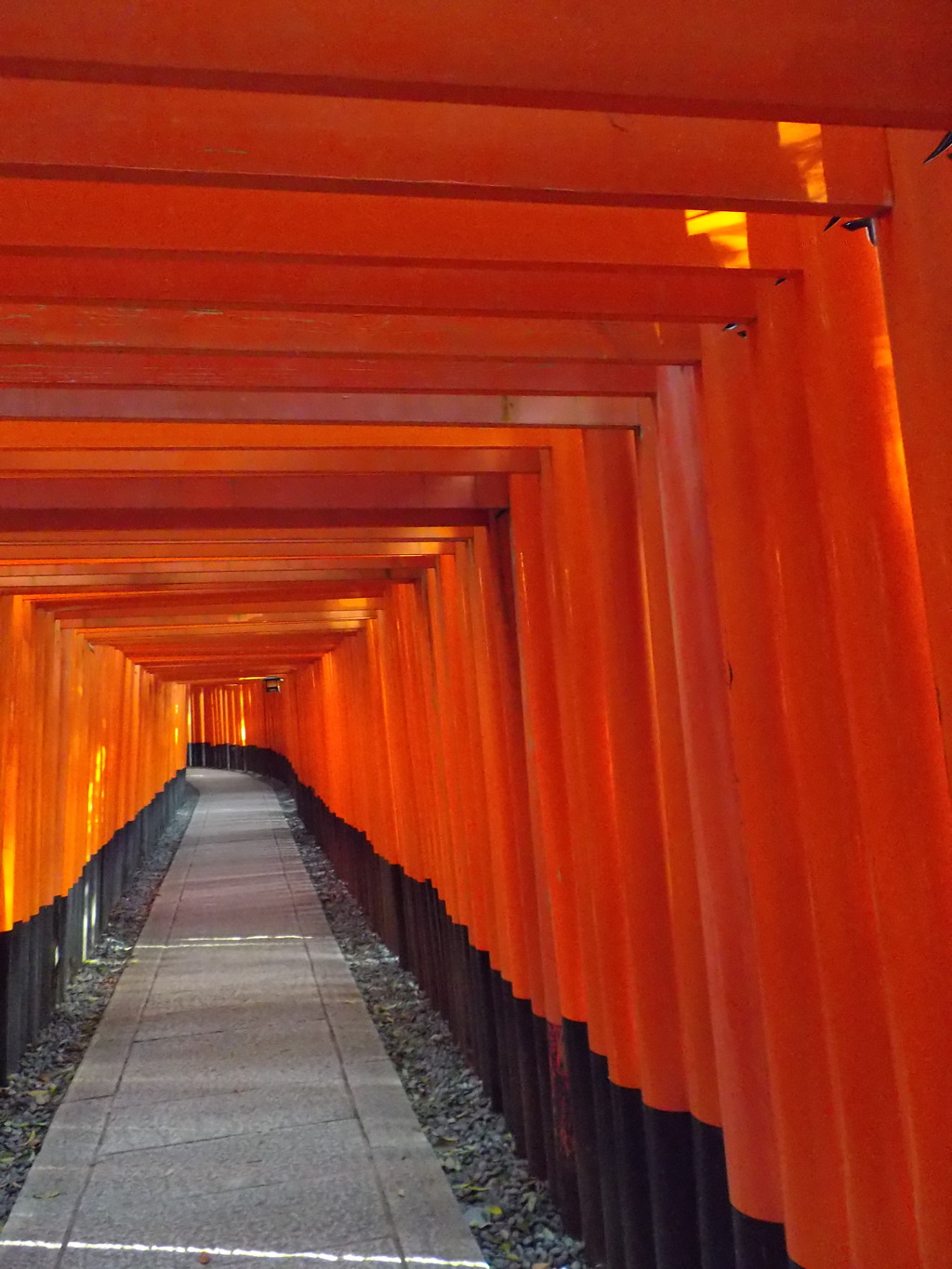 朱の道