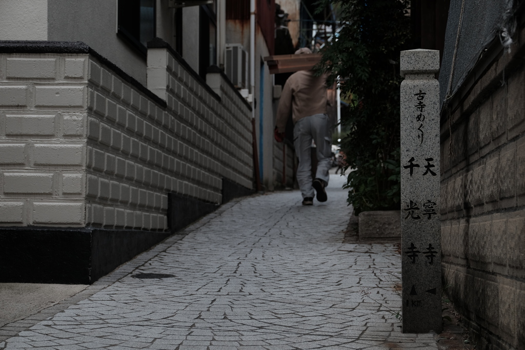 猫の細道
