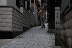 猫の細道