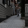 猫の細道