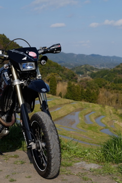 田んぼを見下ろす