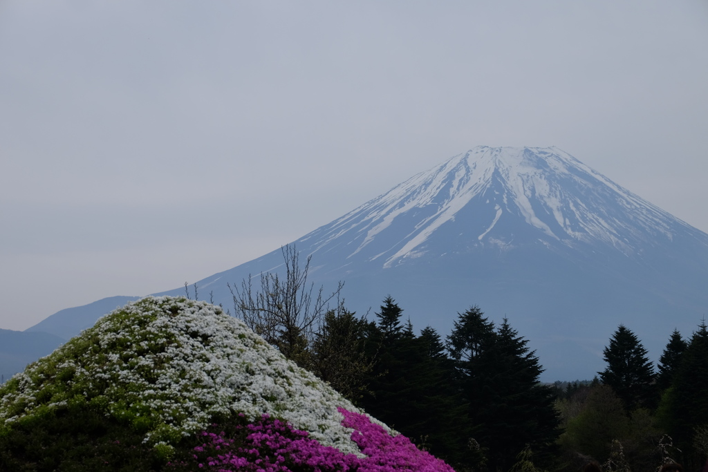 富士山と富士山