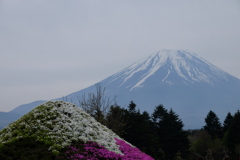富士山と富士山