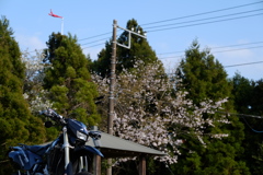 DSCF1696