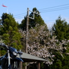 DSCF1696