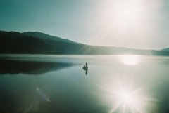 朝日を浴びて