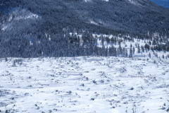 雪道を進軍