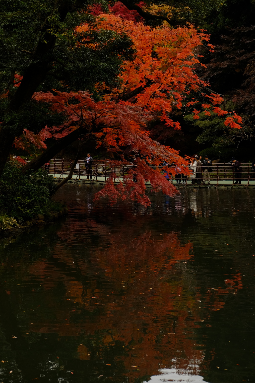 水の鏡