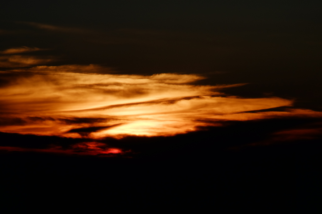 DSCF2531