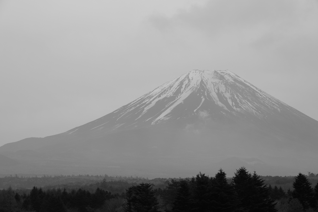 THE･富士山