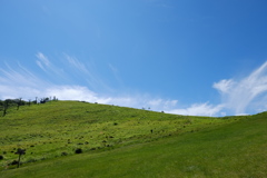 windows XP