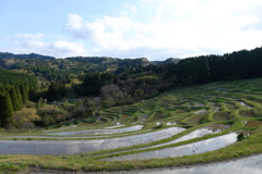 大山千枚田