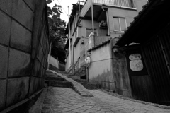 DSCF7527