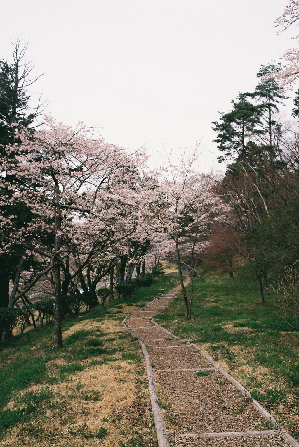 遊歩道