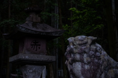 赤