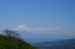 伊豆から見る富士山