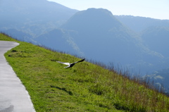 大室山遊歩道