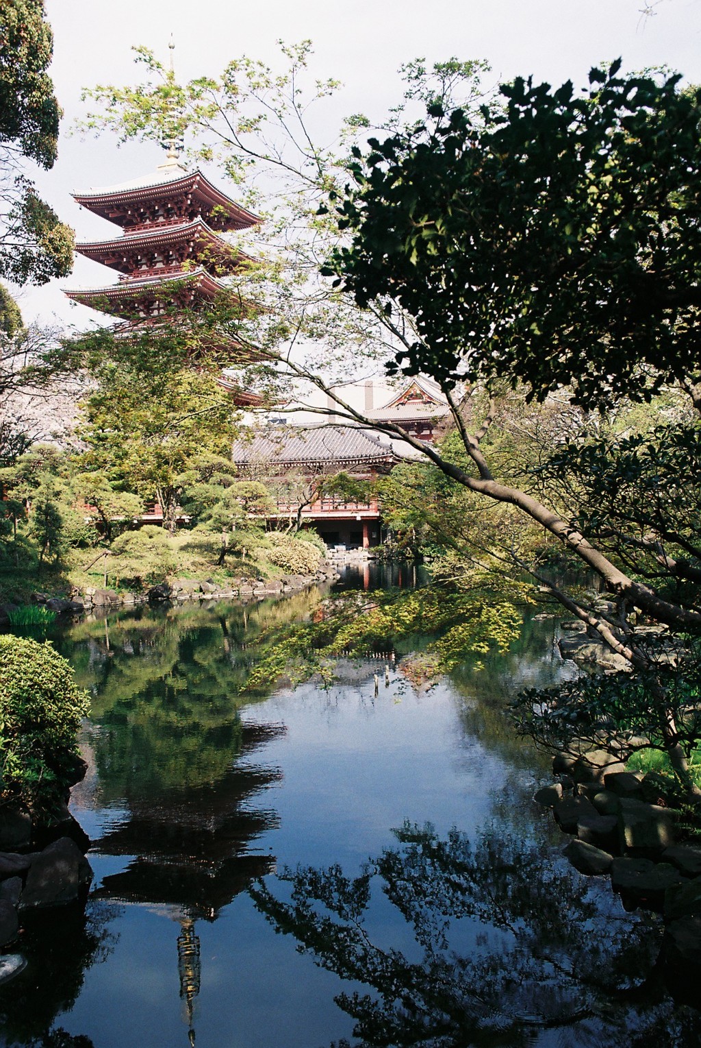 浅草寺伝法院庭園