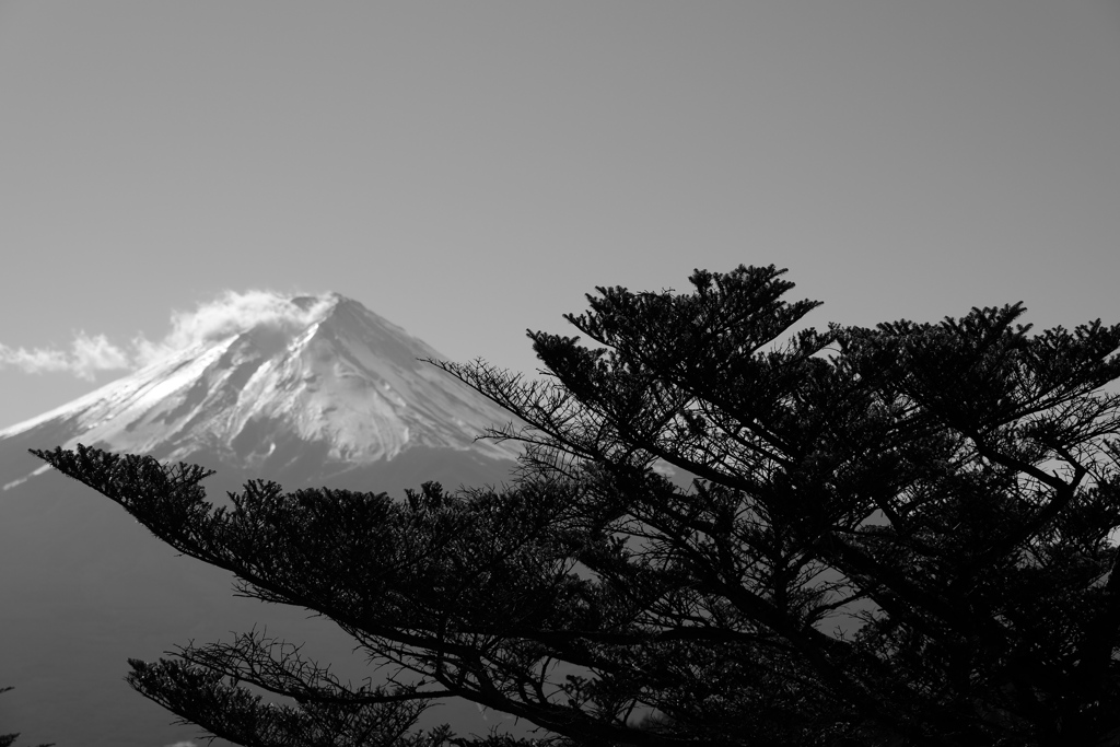DSCF0769