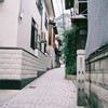 猫の細道